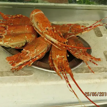 Апартаменты Serena 2