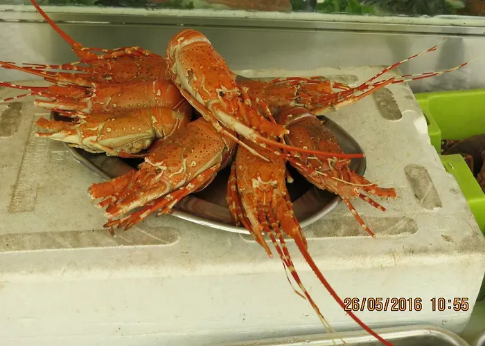 Апартаменты Serena 2